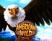 American Wild